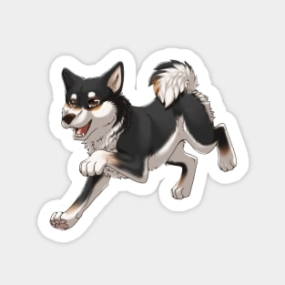 Black and Tan Shiba Inu Running Sticker